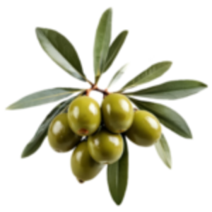 0b3f7b0cc1547afa80e21b5d373f82d0 300x300 1